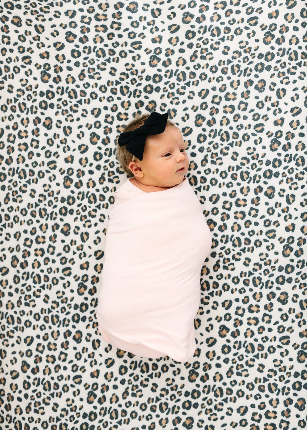 Copper Pearl Premium Knit Fitted Crib Sheet | Zara